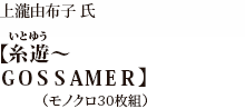 ストラーン久美子氏【横須賀ブルー　ペルリ164年目の再上陸を想起する】（カラー30枚組）