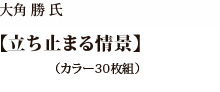 ストラーン久美子氏【横須賀ブルー　ペルリ164年目の再上陸を想起する】（カラー30枚組）